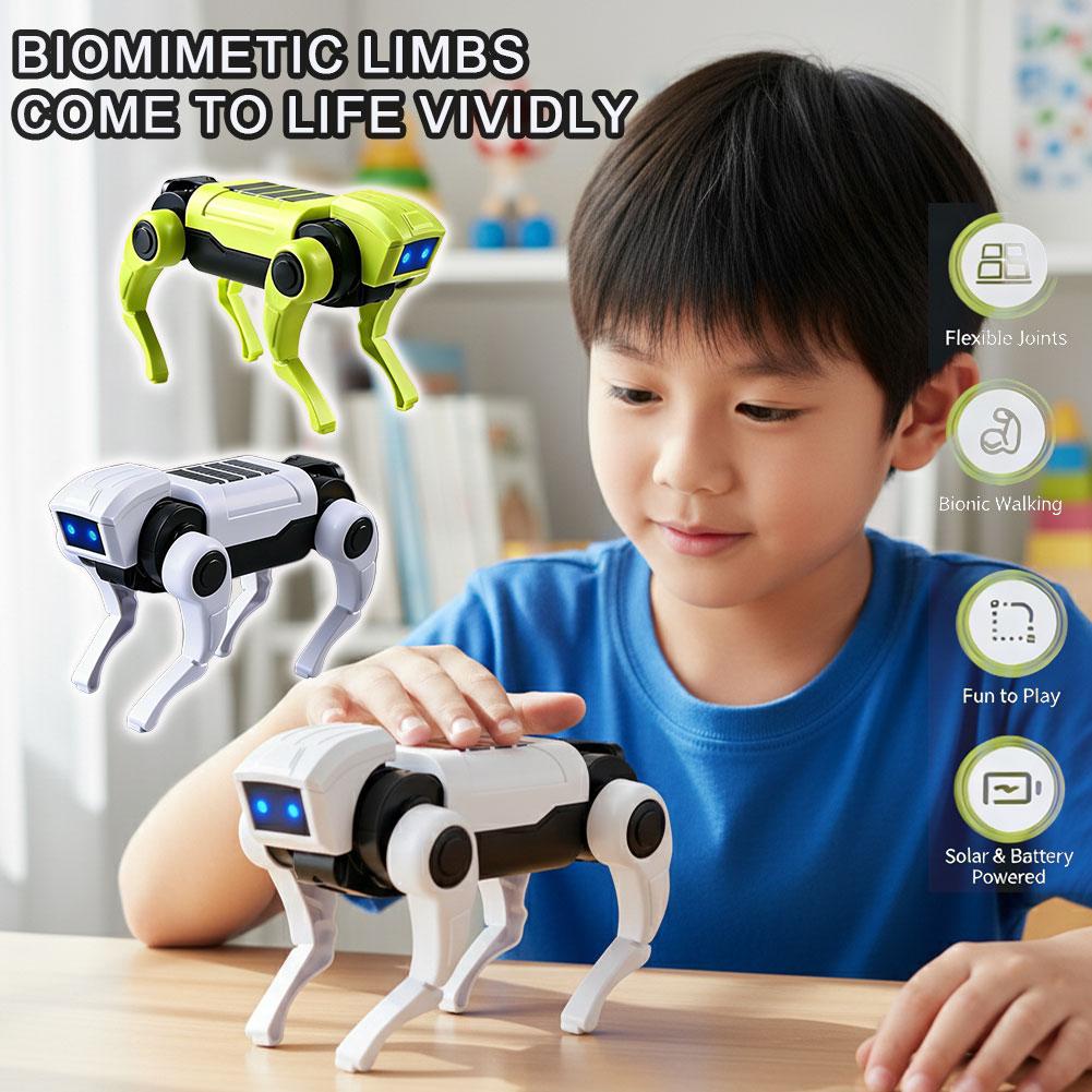 Science Diy Model - DIY-montage RC Robot Hond Speelgoed Afstandsbediening