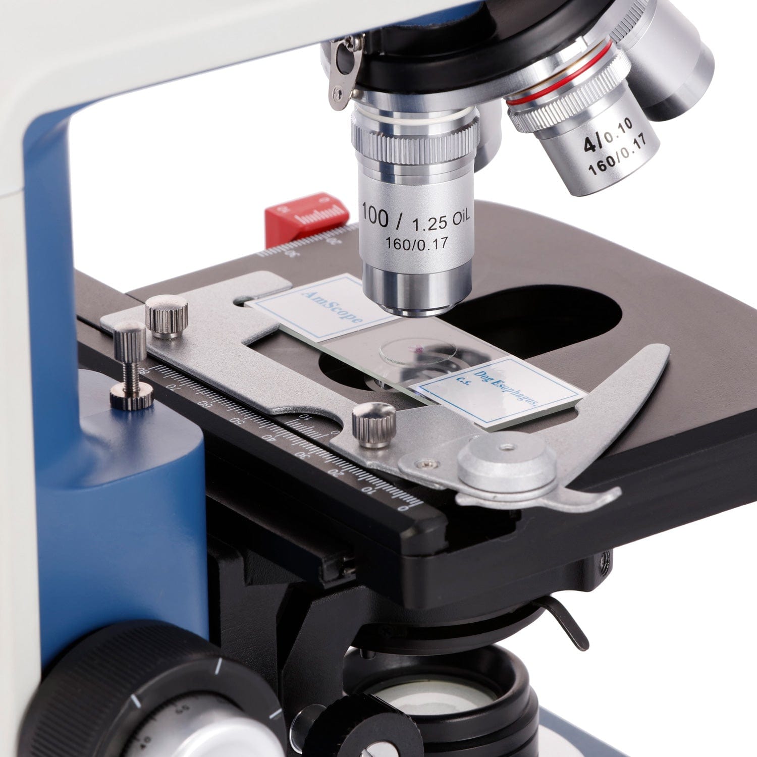 Microscope Compound 40X - AmScope 40X-2500X vergroting studenten binoculaire compound