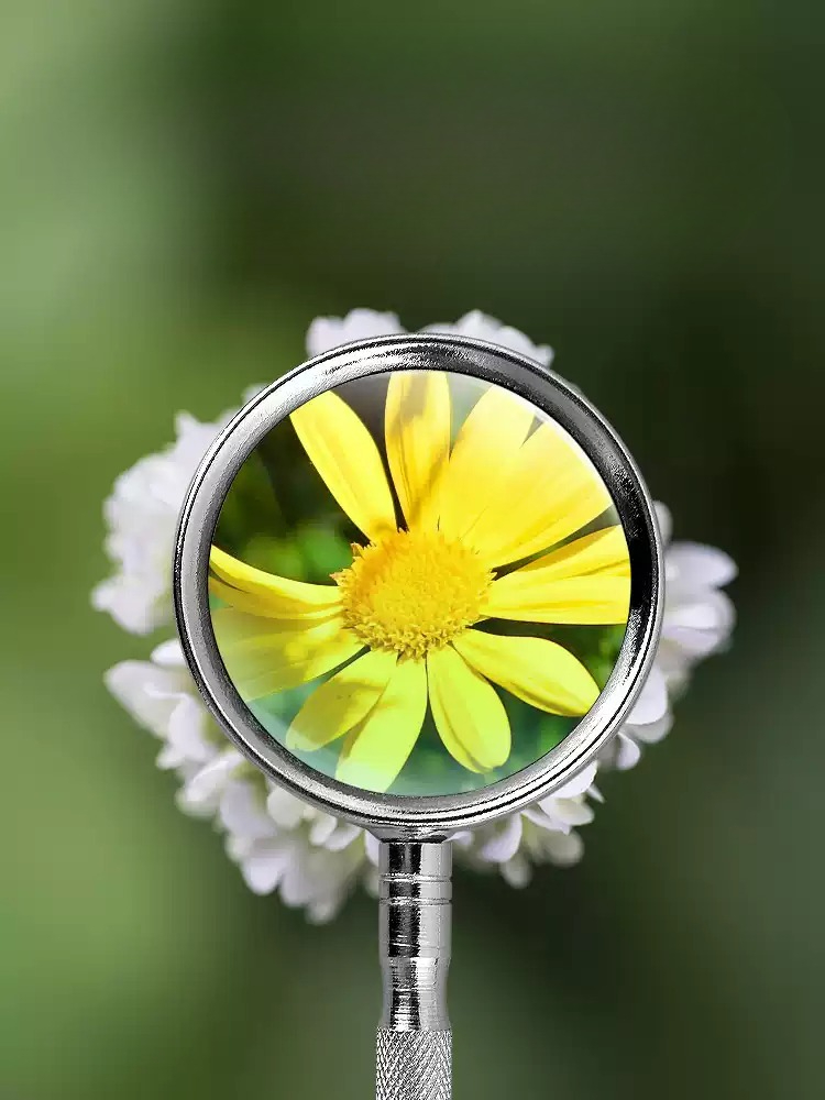 10X 20X Handheld Vergrootglas  - Hobby Is Science recensie en prijs
