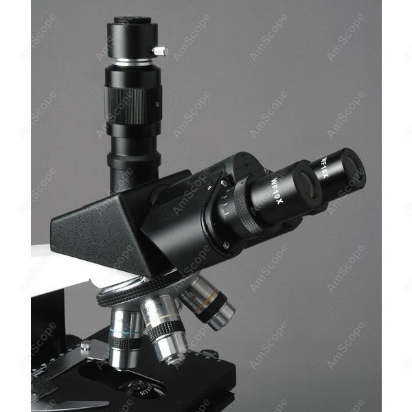 AmScope T490 Serie Simul-focal - Microscope Compound 40X recensie en prijs