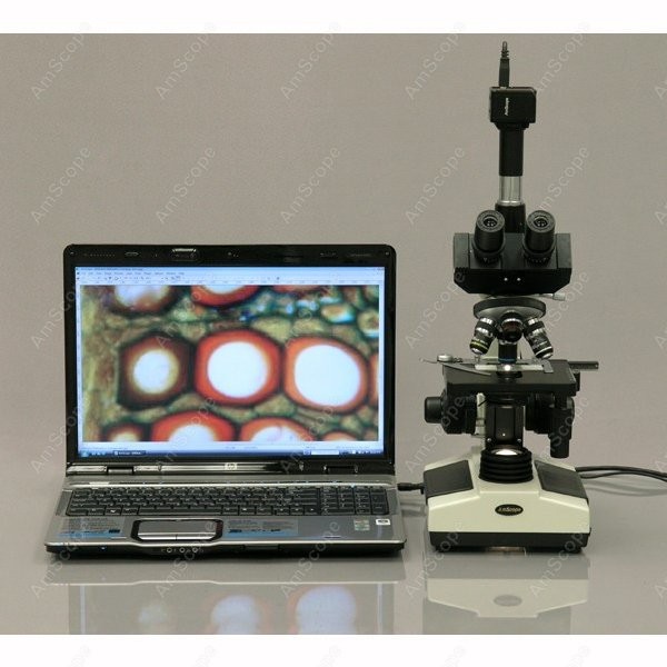 AmScope T390 Serie Biologische - Microscope Compound 40X recensie en prijs